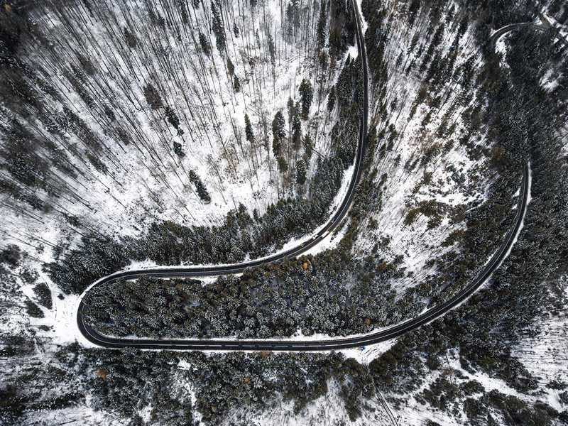 _R၆zӰNicu SpinuzښW޲ƾS{