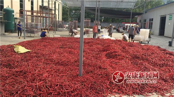 ttĮa(chn)I(y).jpg