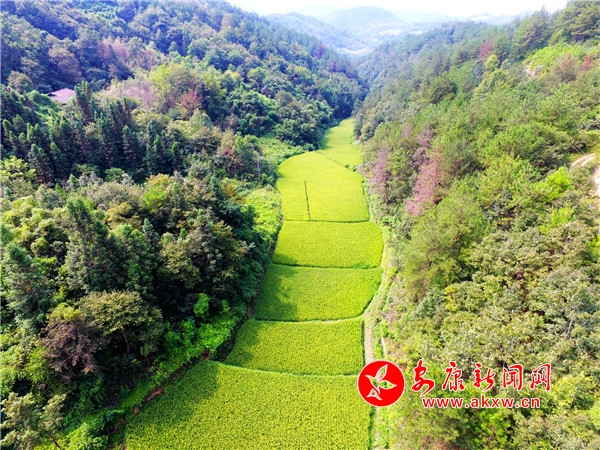 2.(j)˽@ĵȌˮȣǵȵһNֻܵlƺӰڹȵˮȫȡɽ֏ˮ|