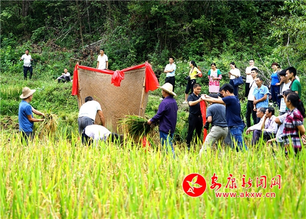 1.95λڰƽh(zhn)Ůzɽϵ320ԭB(ti)r(nng)ʽ_ո(sh)ʮRg^ѝֳ